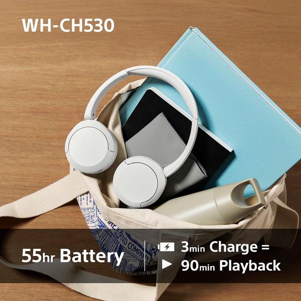 Sony WH-CH530 Wireless Bluetooth Headphones